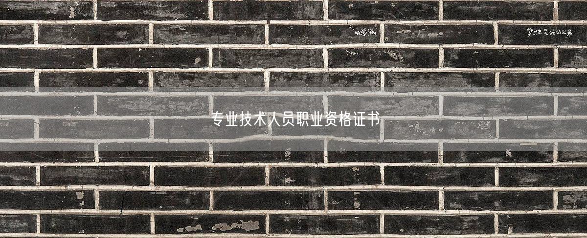 专业技术人员职业资格证书