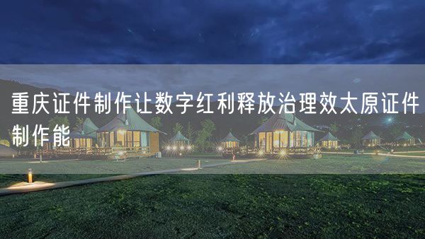 重庆证件制作让数字红利释放治理效太原证件制作能
