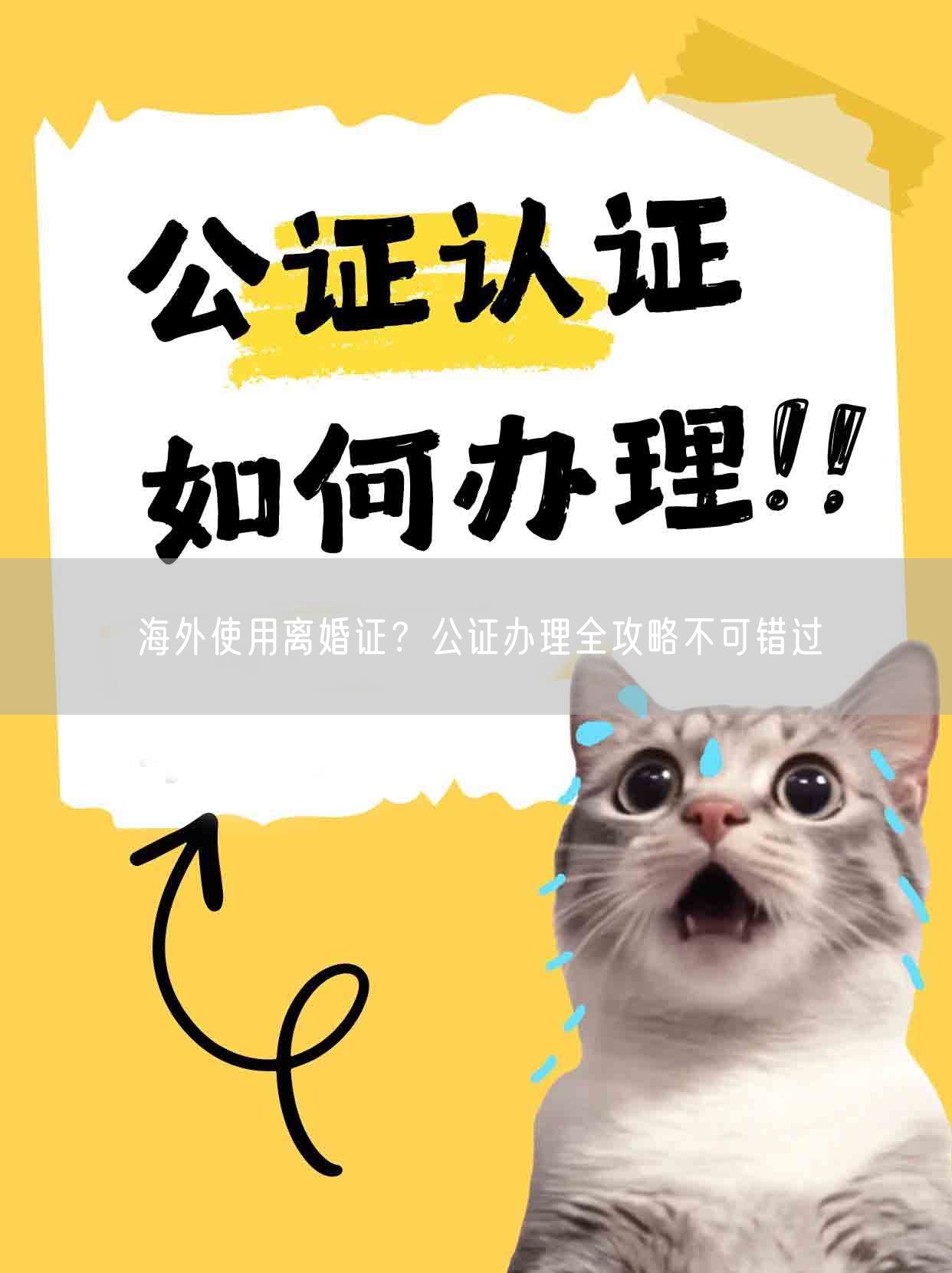 海外使用离婚证？公证办理全攻略不可错过